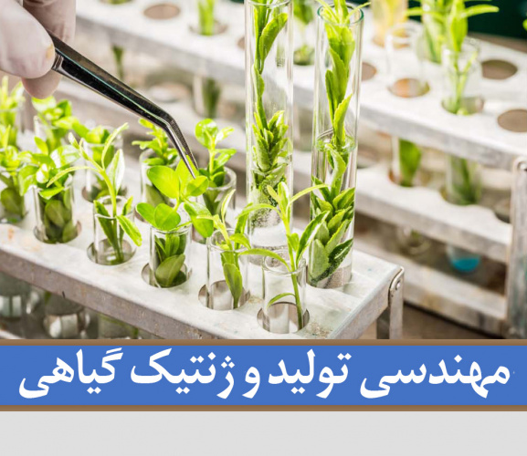 تغییر عنوان گروه آموزشی زراعت و اصلاح نباتات به مهندسی تولید و ژنتیک گیاهی